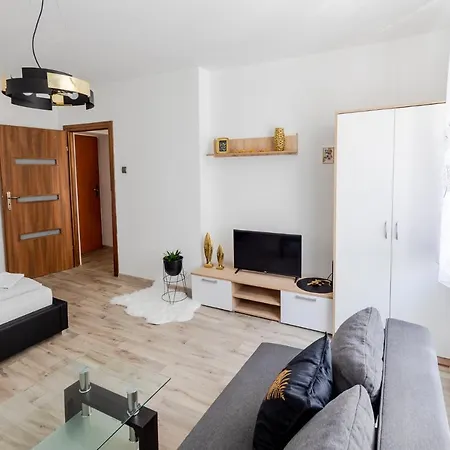 Gold Vision Apartment Opole Zewnętrze zdjęcie